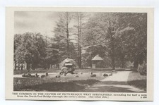 THE COMMON IN THE CENTER OF PICTURESQUE WEST SPRINGFIELD