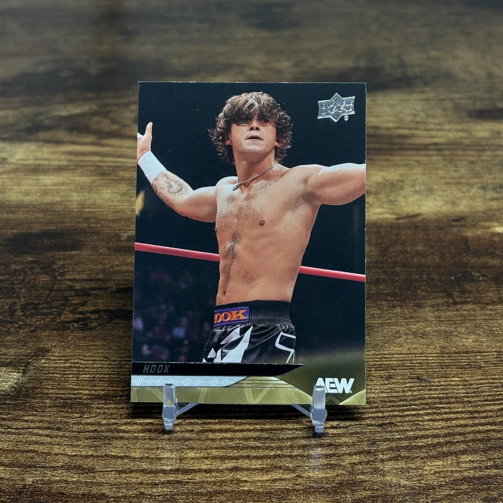 2025 Upper Deck AEW #20 Hook