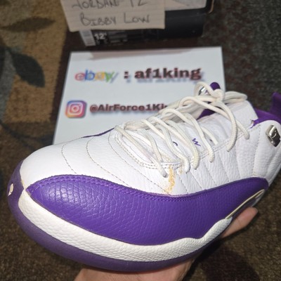 mike bibby jordan 12 pe
