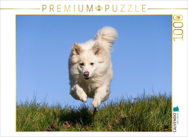Calvendo Puzzle Walking The Dog | 1000 Pieces, Finished Size 25.2 × 18.9 In (64-image