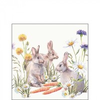 20 Papierservietten, Cocktail - Servietten Carrot Treat Hasen Ambiente 25X25Cm
