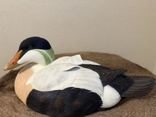 Ducks Unlimited Common Eider Drake Full Size Decoy by Jett Brunet NIB