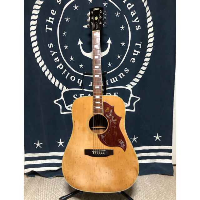 Elite Takamine HM-25 ハミングバード ギター ハードケース付 Elite Takamine HM-25 ハミングバード ギター ハードケース付 - メルカリ