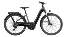 CANNONDALE Tesoro Neo X 1 LOW STEP TRUTH 2024
