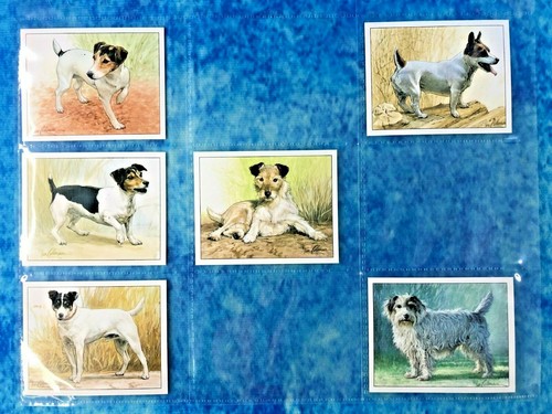 1999 Imperial Dog Collection Jack Russell Terriers A Series of 6 Trade Cards - Picture 1 of 7