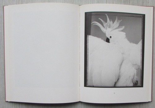 Animal - Bettina Rheims. Libro de fotografia de una excepcional fotógrafa. - Imagen 16 de 22