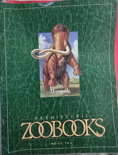 Kids 1989 Zoobooks 21 Magazines & 1 National Geographic Magazine - Picture 5 of 23