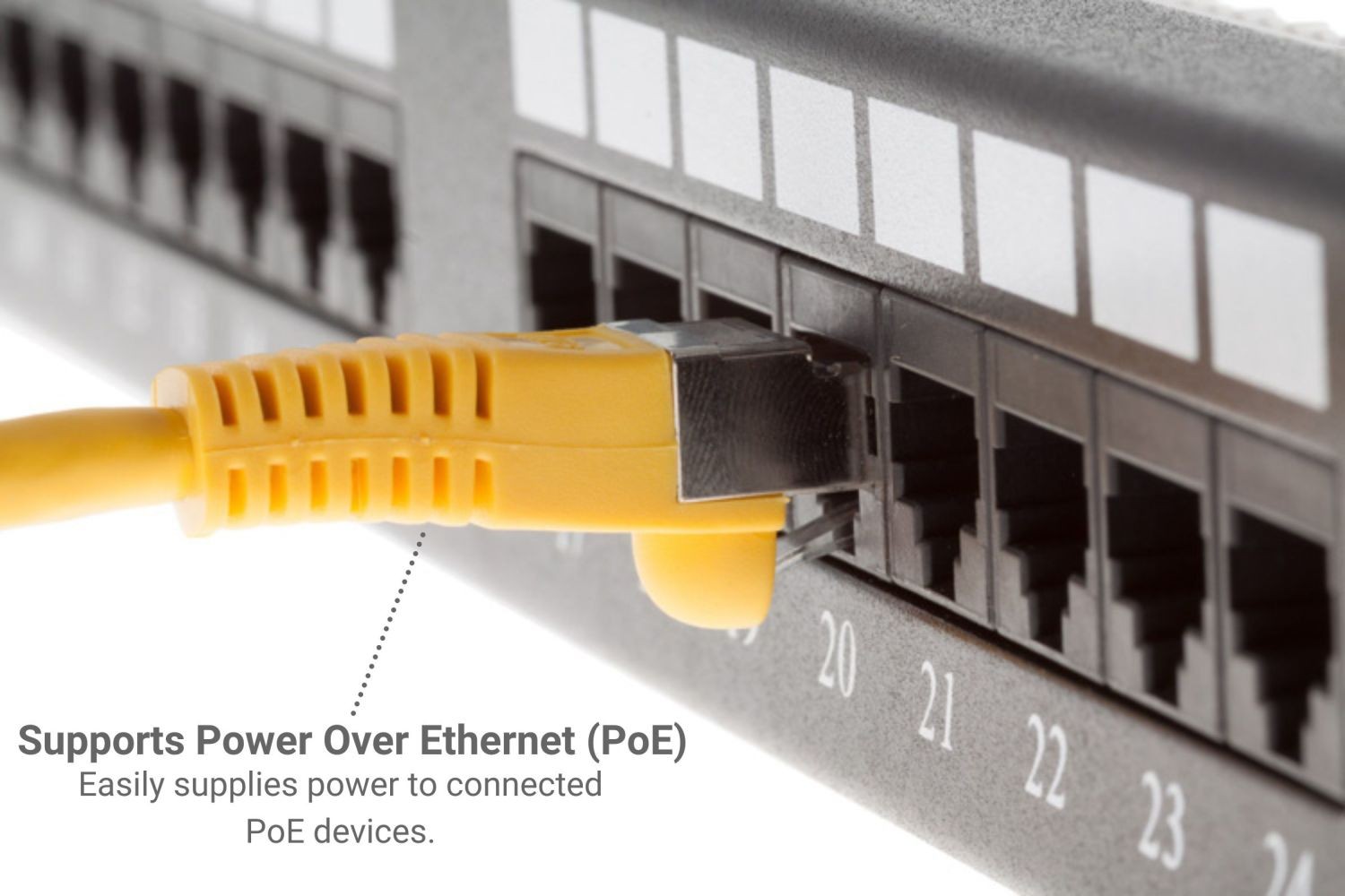 CAT6 Shielded Ethernet Patch Cable, Snagless, 100 Foot, - Lifetime Warranty