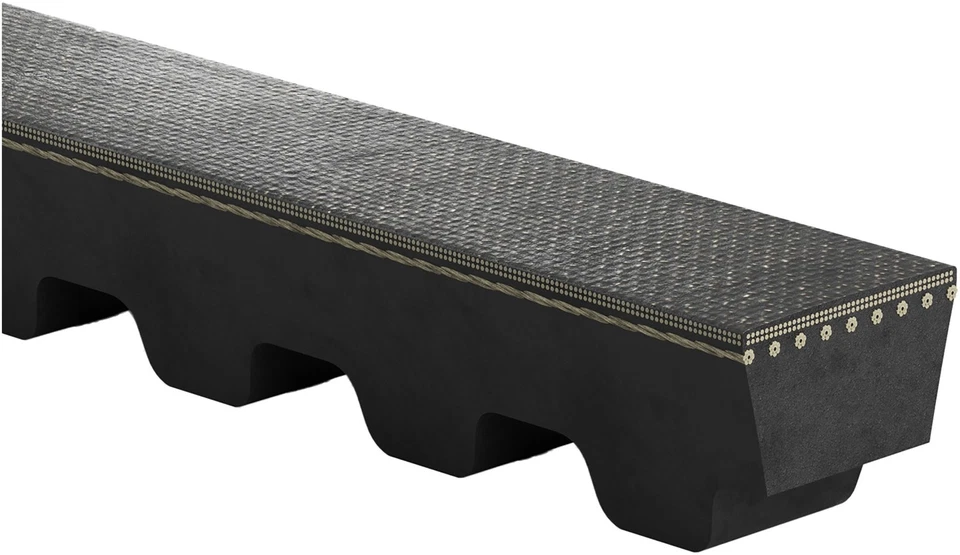 Accesorio Gates 3VX450 correa de transmisión para modelos selectos de autobuses Eagle Transit 82-90 Foto 2 de 3