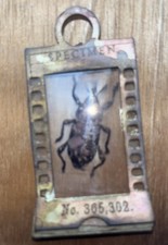 Accordion Specimen slide With Hidden Journaling Handmade Vintage