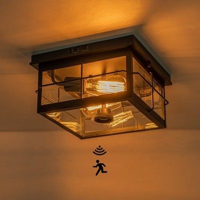 Motion Sensor Flush Mount Ceiling Light,2-Light Outdoor Ceiling Light Fixtures