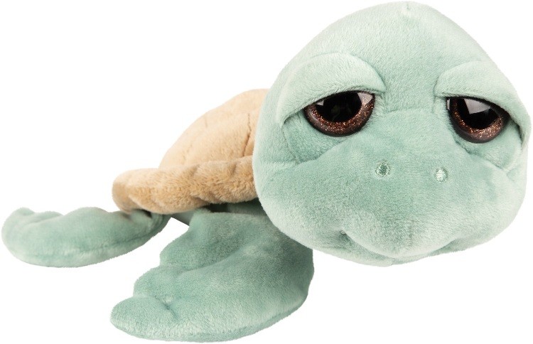 Suki 15470 Caspian Green 24 Cm Turtle Plush Toy By SUKI