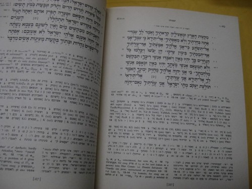 2 vol Book of Isaiah: Sample Edition with Introduction by Moshe H. Goshen-Gottst - Picture 5 of 9
