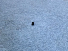 Marlin 70/49 Front Sight Binding Screw, New Factory Original