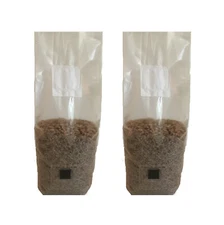 Rye Grain Mushroom Substrate Bags 4 lb with Injection Port & .22 Micron Filter