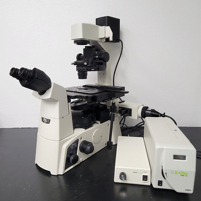 Nikon Microscope Eclipse Ti-S with X-Cite Fluorescence & Phase Contrast