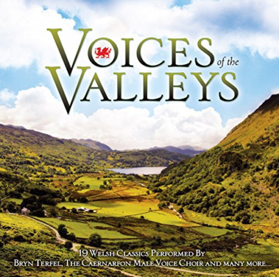 Various - Voices Of The Valleys CD (2016) New Audio Reuse Reduce Recycle