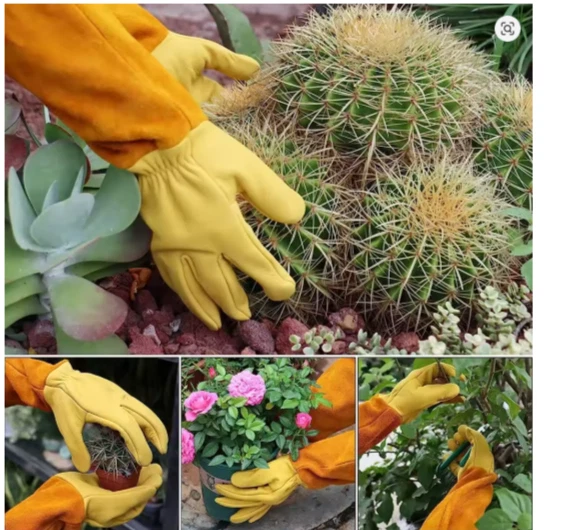 Guantes largos de jardín de cuero a prueba de espinas con guantelete de protección para antebrazo Foto 2 de 4