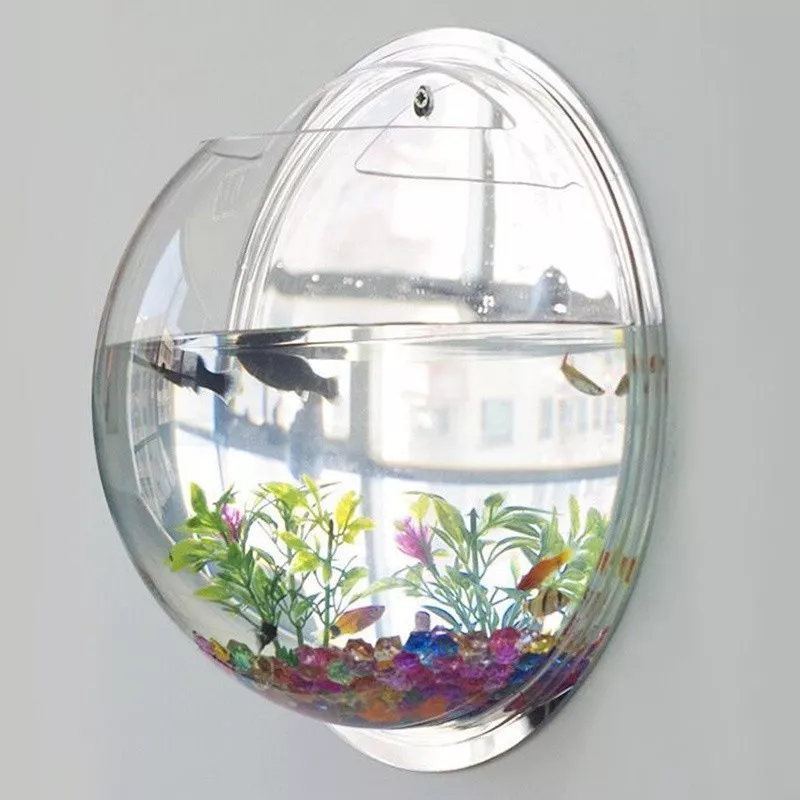 Wall Mounted Hanging Fish Bowl Aquarium Tank Beta Goldfish Plant