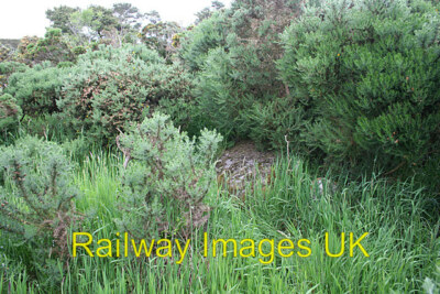Photo 12x8 (A4) Auchlee Recumbent Stone Circle (3) (Pagan / Druid / Celtic) 2015