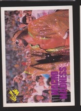 UFC MMA WWF WWE Cards U Pick-40% off on 4+!