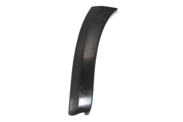 Left Front BLIC 5703-08-8179379P Trim/Protection Strip, wing for TOYOTA