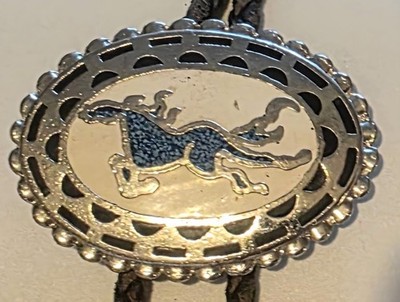 Vintage Metal Bolo Tie, Nice Silver and Turquoise Horse Design, Nice Western