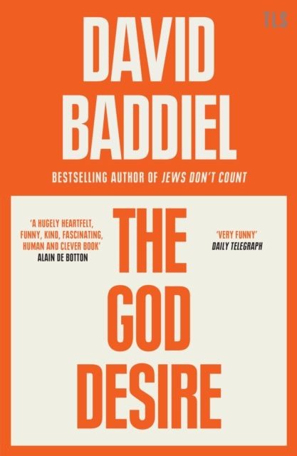 The God Desire by David Baddiel Paperback - Image 2
