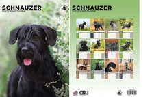 Schnauzer 2026 Calendar - A3 Size 30 x 42 cm