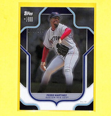 メジャーリーグ　カード　Pedro Martinez PEDRO MARTINEZ ROOKIE CARD Score Traded RC Baseball MONTREAL EXPOS