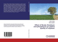 Effect Of Brady Rhizobium And Phosphorus On Yield & Quality Of Soybean Zerihun Y