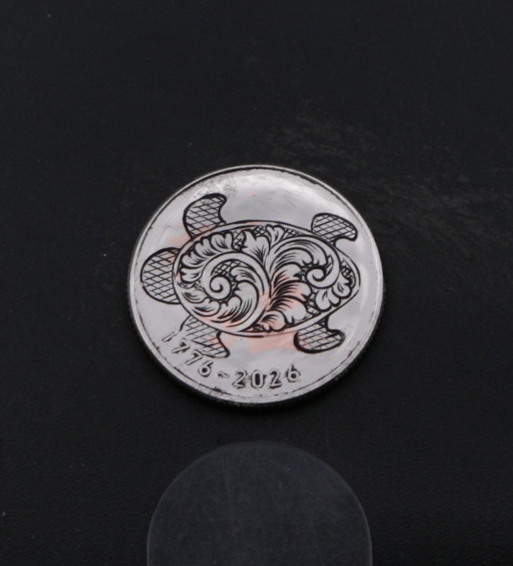 Hand Engraved 2026 Dime – Sea Turtle with Scrollwork Shell - Coin Carving