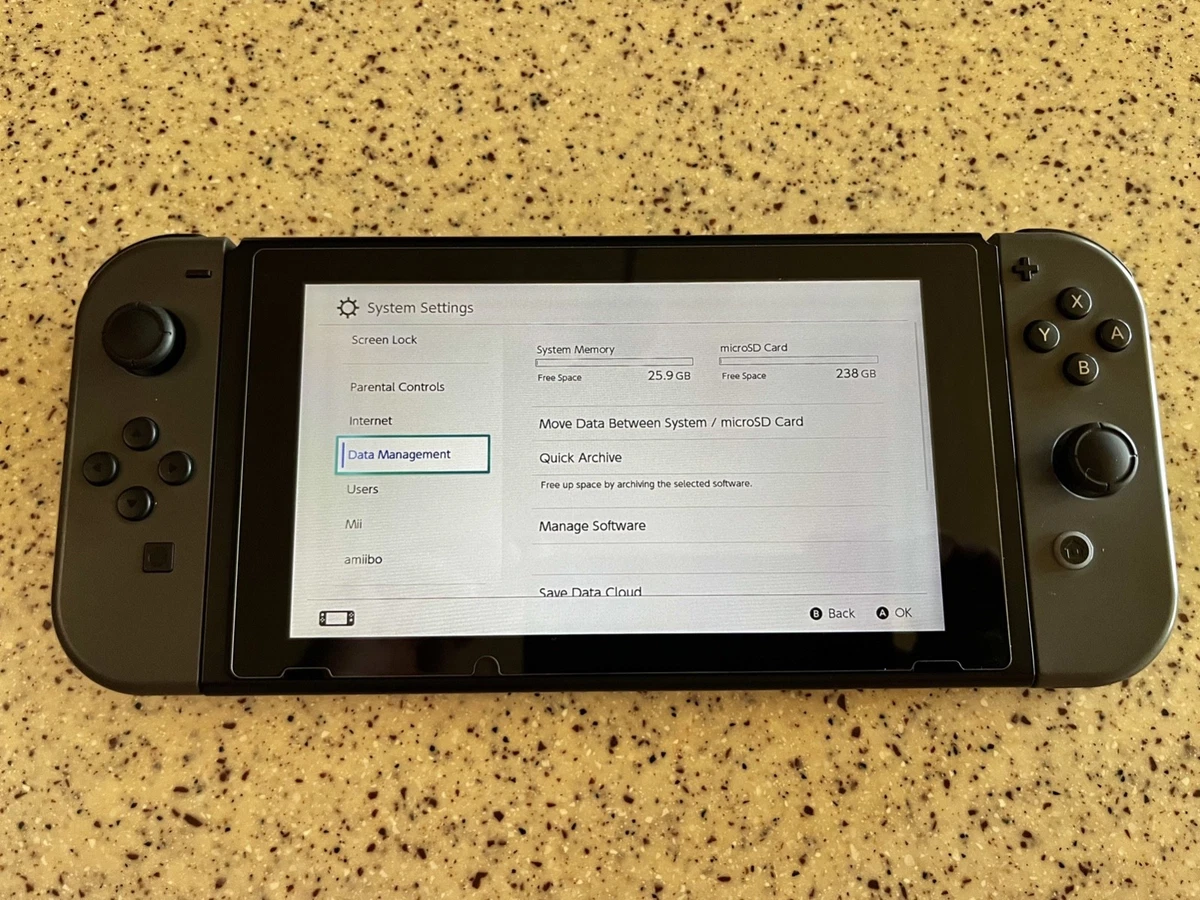 Nintendo Switch Gray Region Free Video Game Consoles for sale | eBay