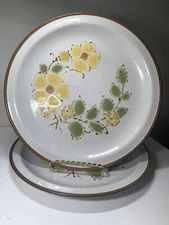 Stoneybrook International China Wildflower Pattern Floral Dinner Plates Set of 2