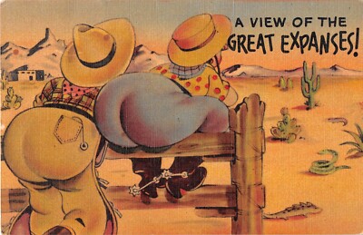 Fat Bottomed Cowboy & Cowgirl Admiring View of Great Expanses-1948 Comic Linen P