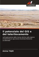 Amina Tajdi | Il Potenziale Del GIS E Del Telerilevamento | Taschenbuch (2023)