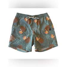 Men's Tropical Coconut Print Board Shorts Swim Trunks Teal Party Pants Pockets