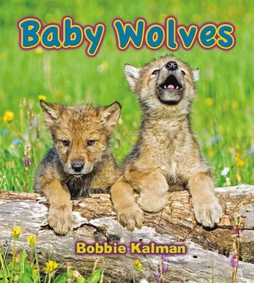 Baby Wolves: 20 (Its Fun to Learn About Baby Animals),Kalman, Bo