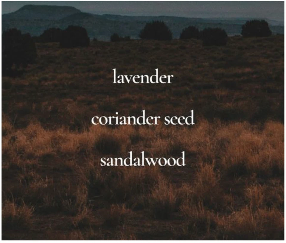 Desodorante antitranspirante roll-on Avon Wild Country - fl oz 2,6 (pacote com 20) - Imagem 2 de 4