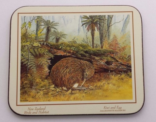 Neuseeland Vögel Kiwi Welt Untersetzer 6er Set Kork Rückseite Taube Fantail Kea Tui - Bild 9 von 10