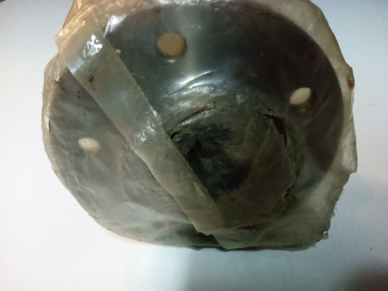 Picture 6 of 7