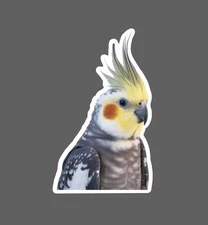 Cockatiel Sticker Waterproof Decal Bird Animal Pet Friend Wildlife Gift NEW