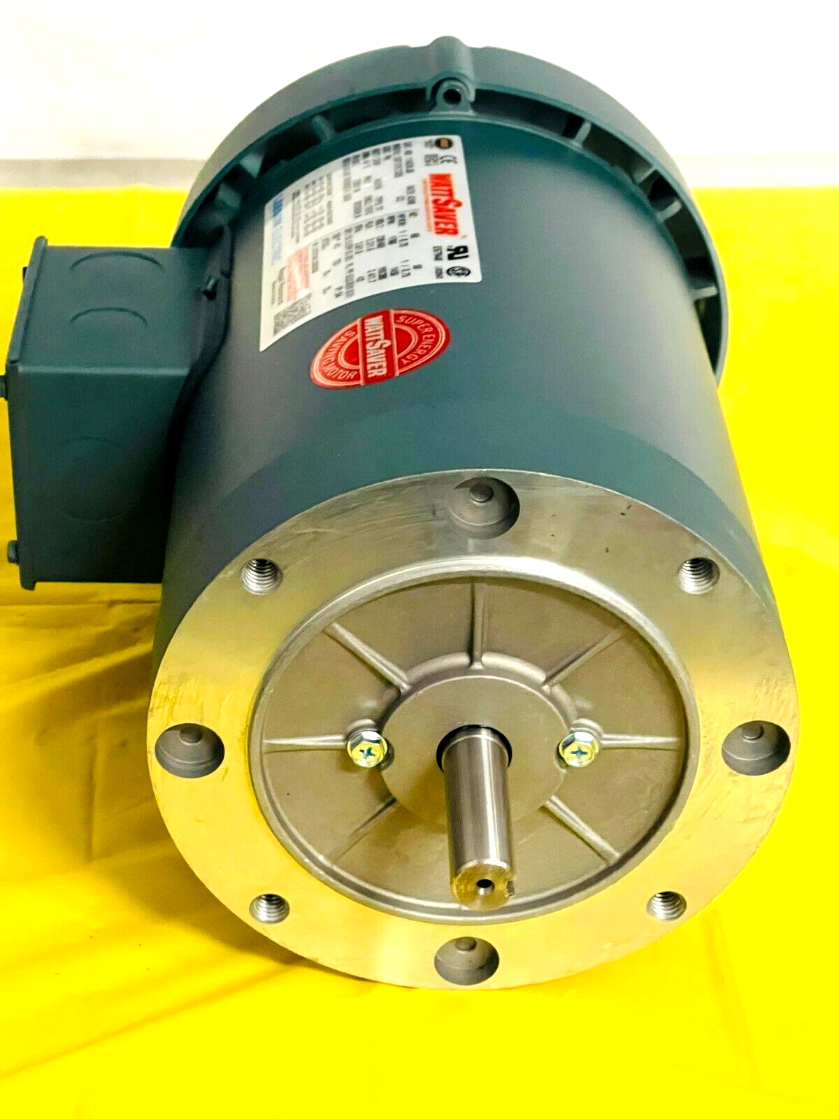Leeson Wattsaver 114638.00 Inverter Duty Premium Efficiency Motor  