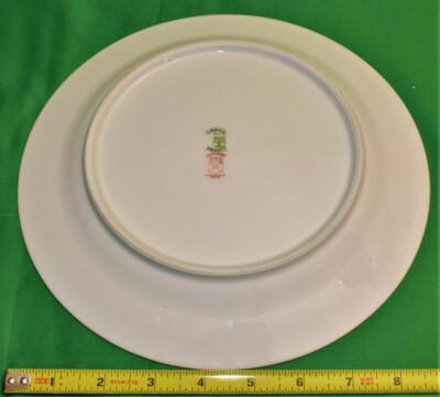 Antique ELITE LIMOGES France BIRD of PARADISE Pattern 9 7/8