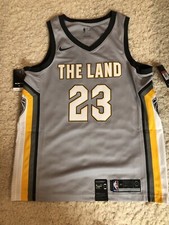 lebron james the land jersey