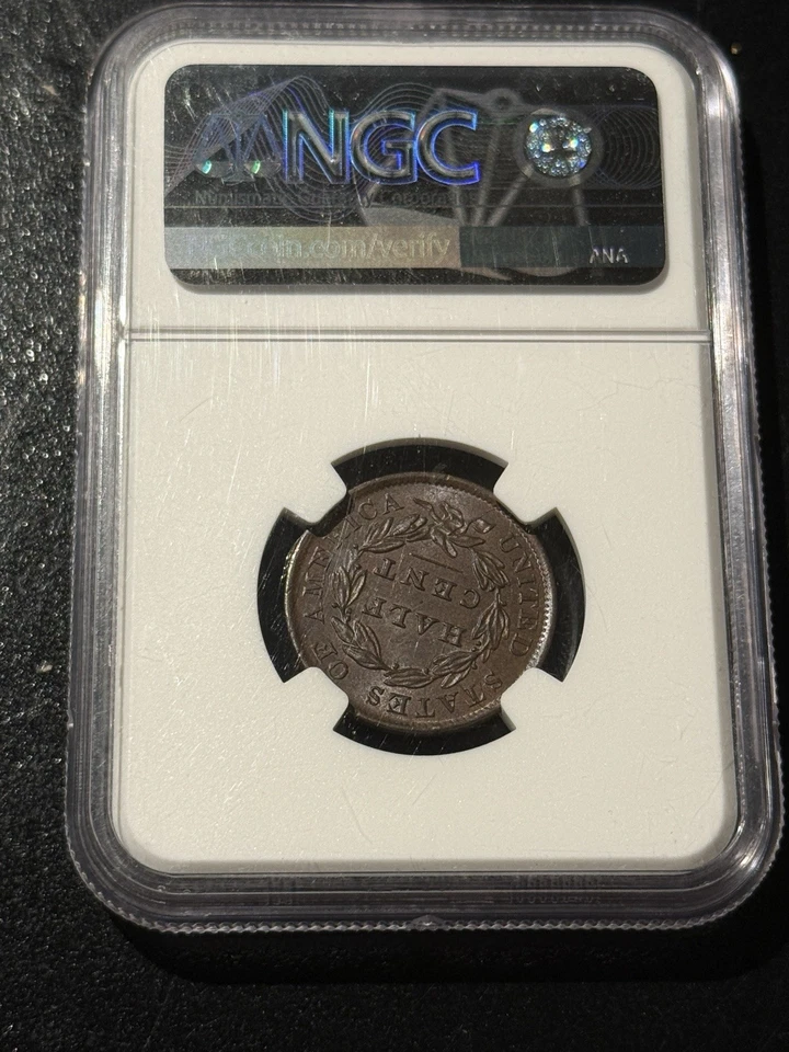 Medio centavo cabeza clásica 1833 - graduación profesional MS64BN - hermoso cobre temprano de EE. UU. Foto 4 de 4