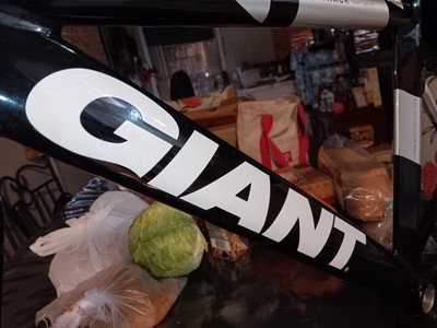 Giant T-mobile Team Track Frameset Giant Omnium Size Small 44cm | eBay