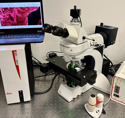 Leica DM DMLA Microscope Full Motorized Fluorescence+ Camera | eBay