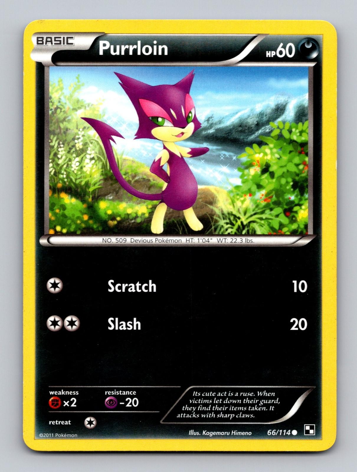 Purrloin 66/114 Common Black & White Pokemon Lightly Played