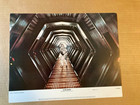 STAR WARS ORIGINAL 14x11" LOBBY CARD SET OF 8 MARK HAMILL HARRISON FORD 1977  — photo 6